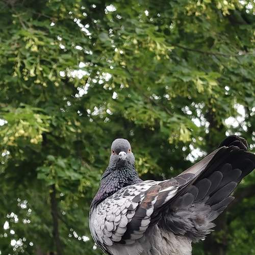 Photo #13734649