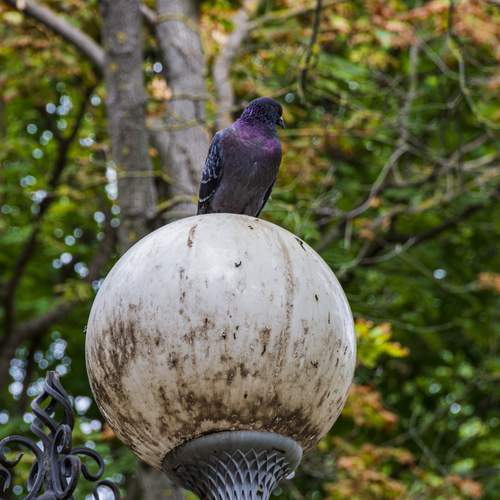 Photo #13734671