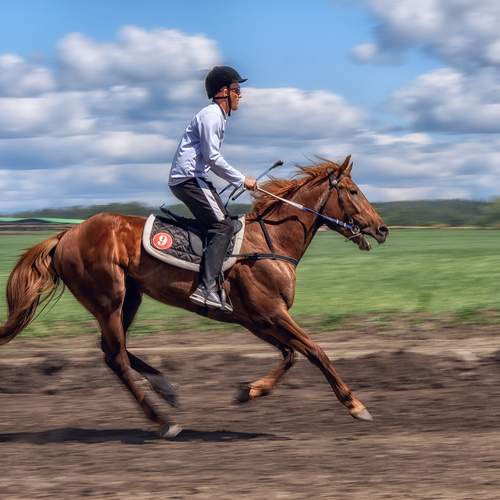 Photo #13734678