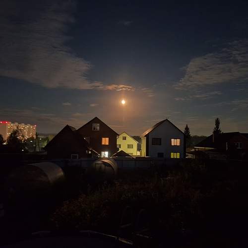 Photo #13734681