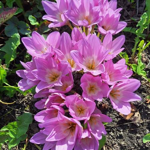 Photo #13734682