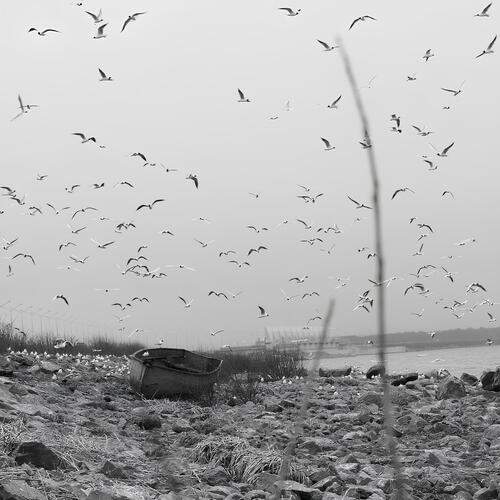 Photo #13734695
