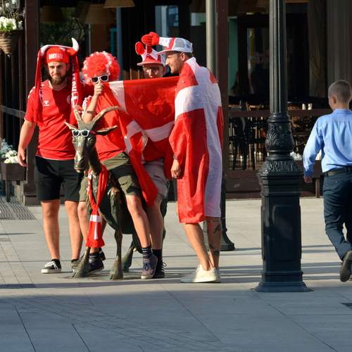 Photo #13734775