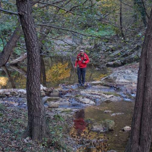 Photo #13734783