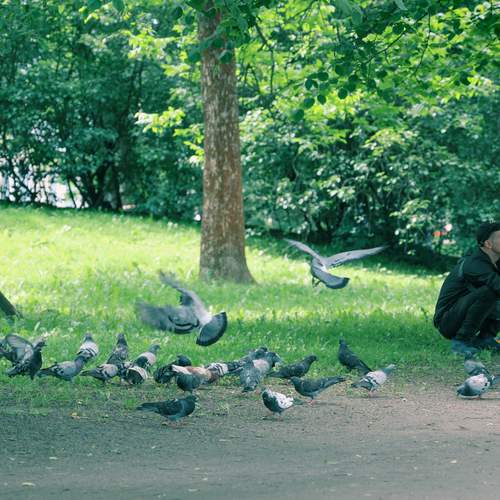 Photo #13734786