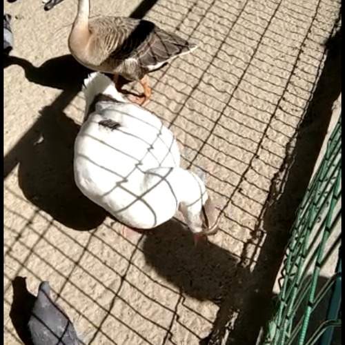 Photo #13734811