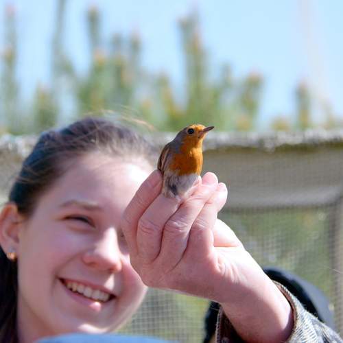 Photo #13734813
