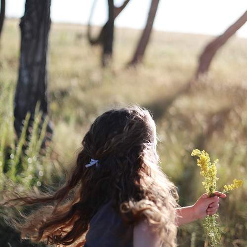 Photo #13734824