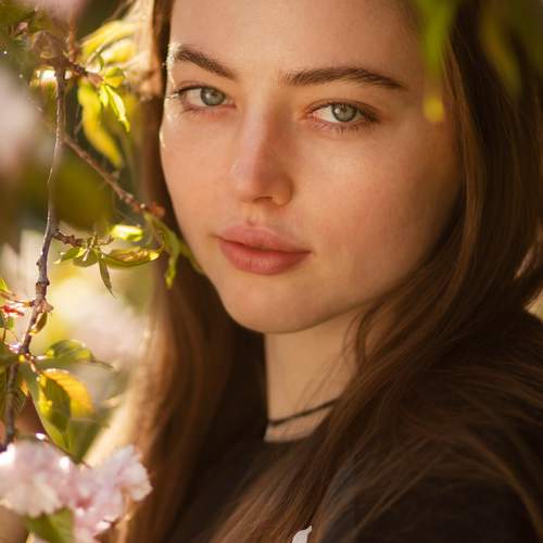 Photo #13734836