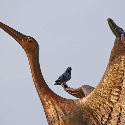 Photo #13734841