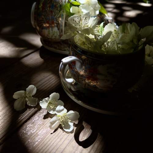 Photo #13734852