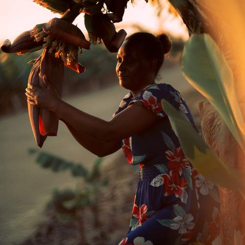 Photo #13734868