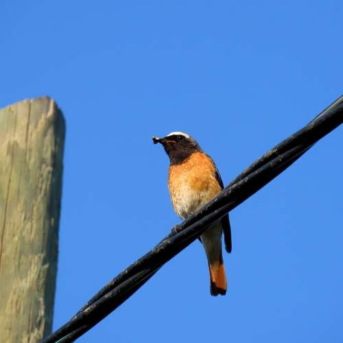 Photo #13734873
