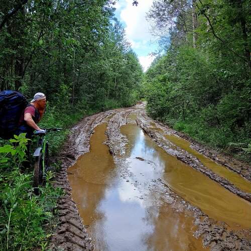 Photo #13734898