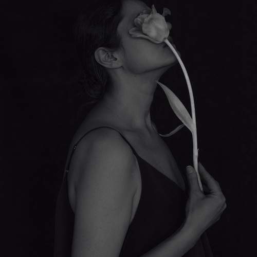 Photo #13734902