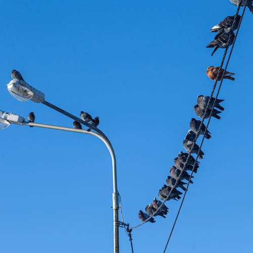 Photo #13734935