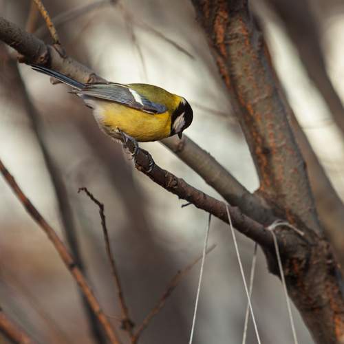 Photo #13734937