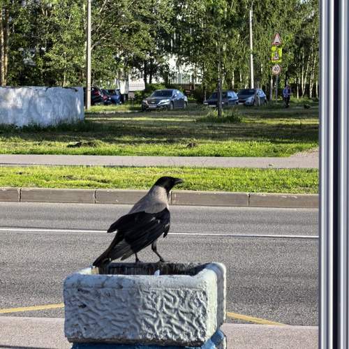 Photo #13734941