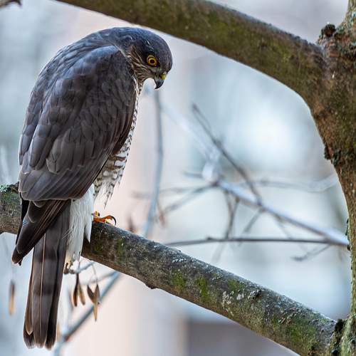 Photo #13734957
