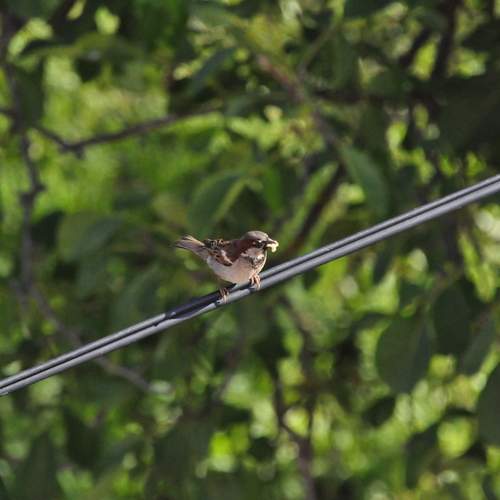 Photo #13734960
