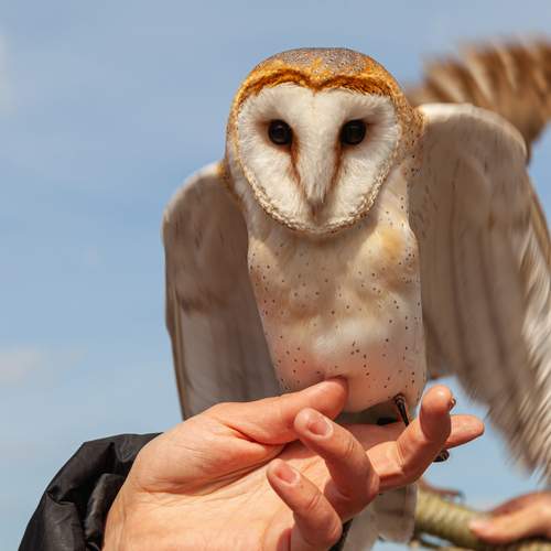 Photo #13734972