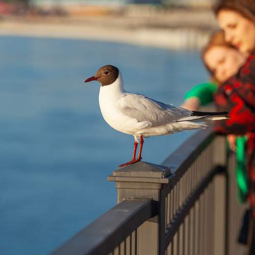 Photo #13735005