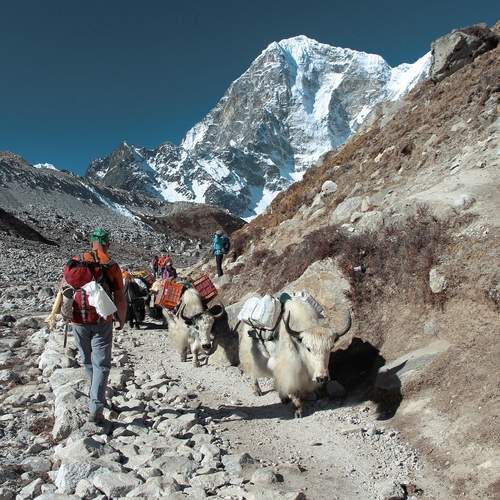 Photo #13735012