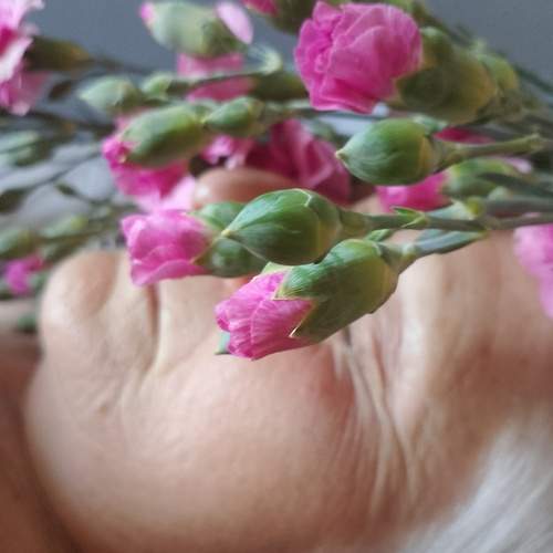 Photo #13735024
