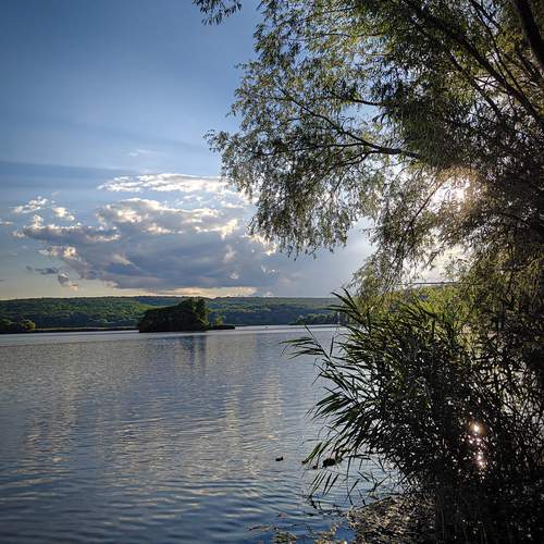 Photo #13735057