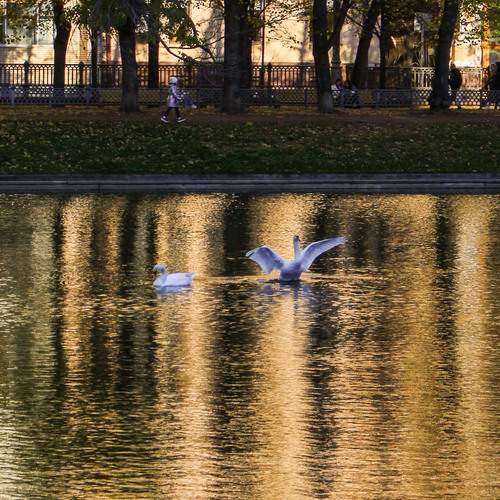 Photo #13735089