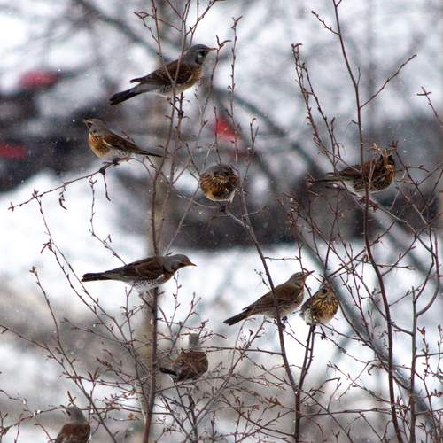 Photo #13735107