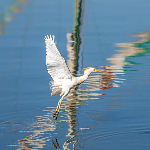 Photo #13735144