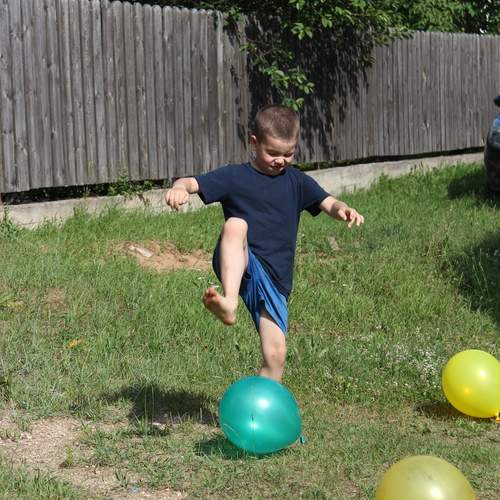 Photo #13735163