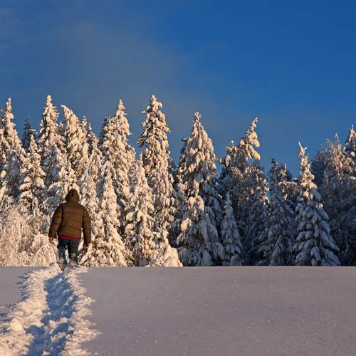 Photo #13735174