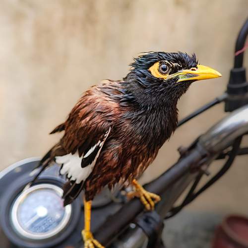 Photo #13735208