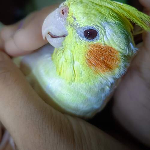 Photo #13735215