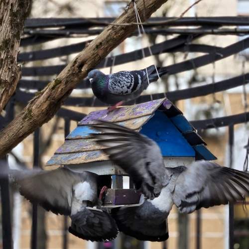 Photo #13735221
