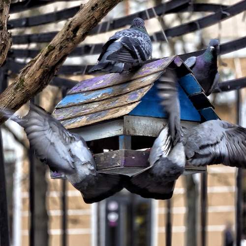 Photo #13735260