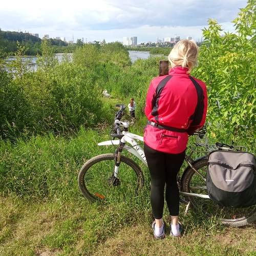 Photo #13735275