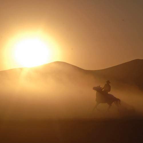 Photo #13735300