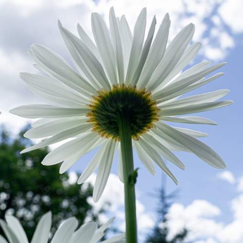Photo #13735350