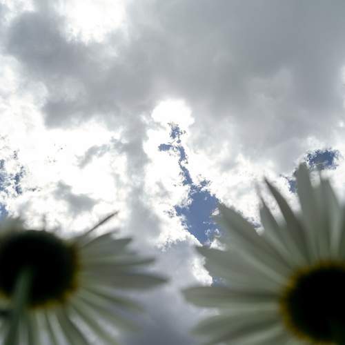 Photo #13735351