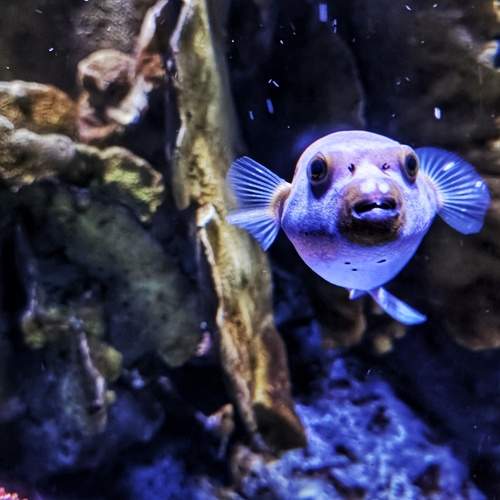 Photo #13735395