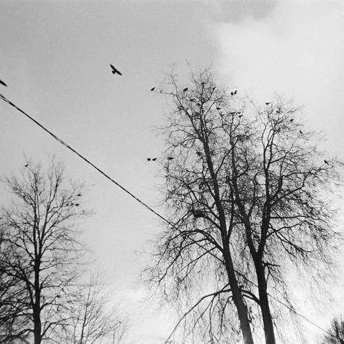 Photo #13735539