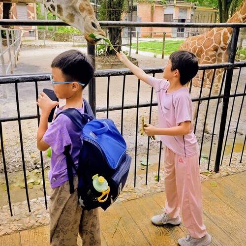 Photo #13735547
