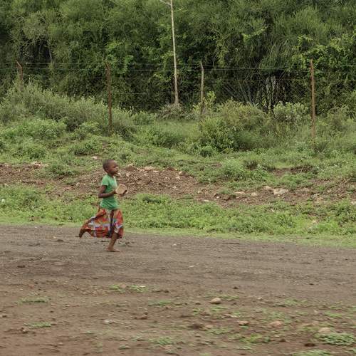 Photo #13735561