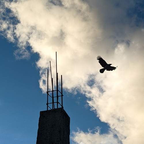 Flying