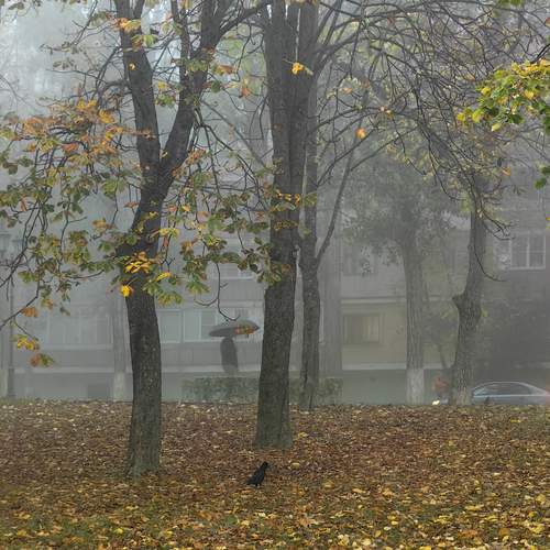 Photo #13735599