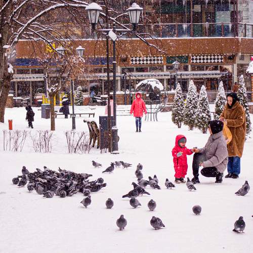 Photo #13735604