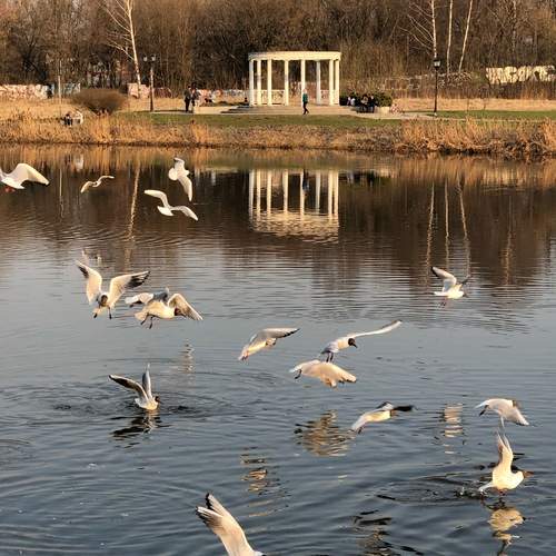Photo #13735608